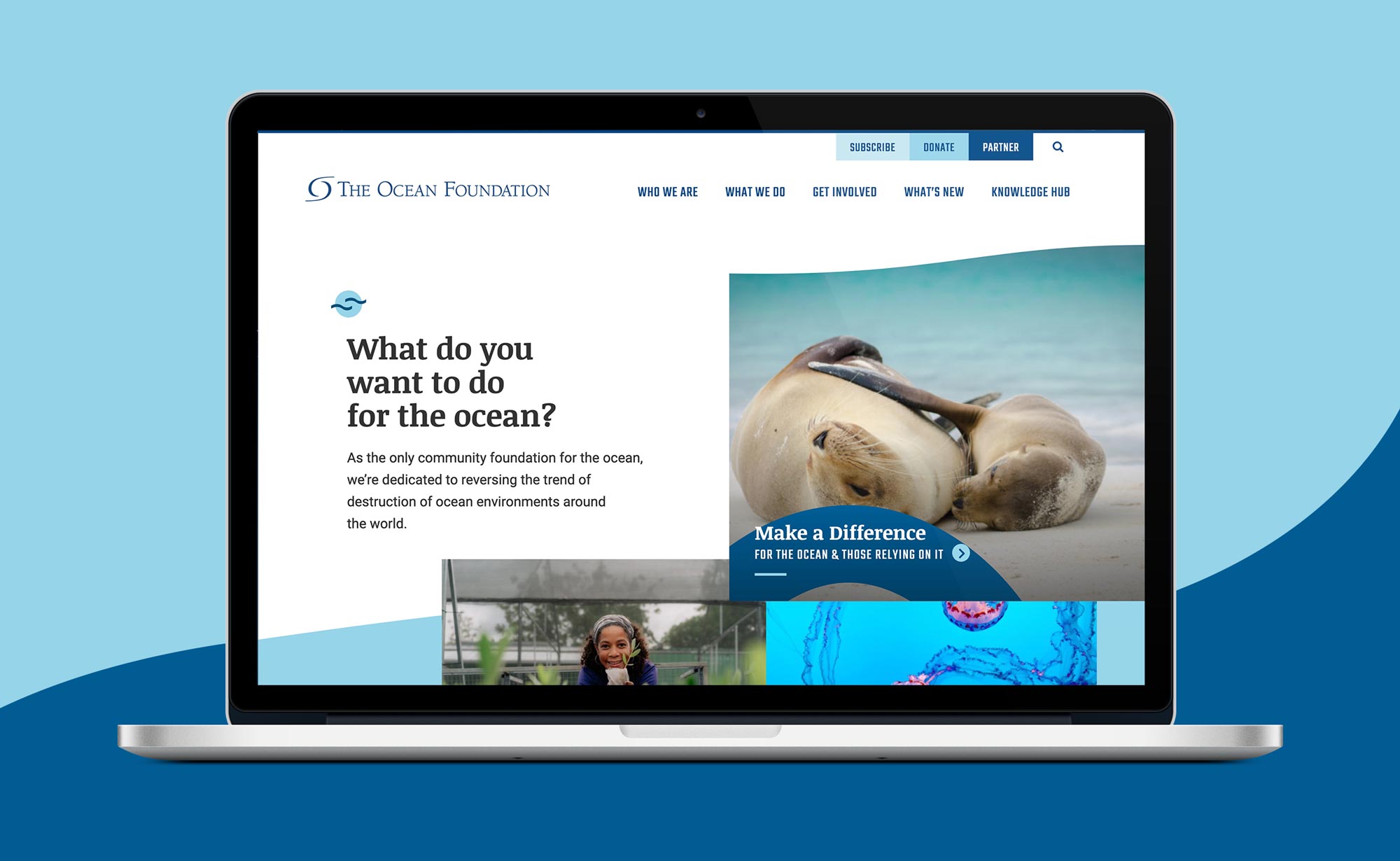 Ocean Foundation - Homepage